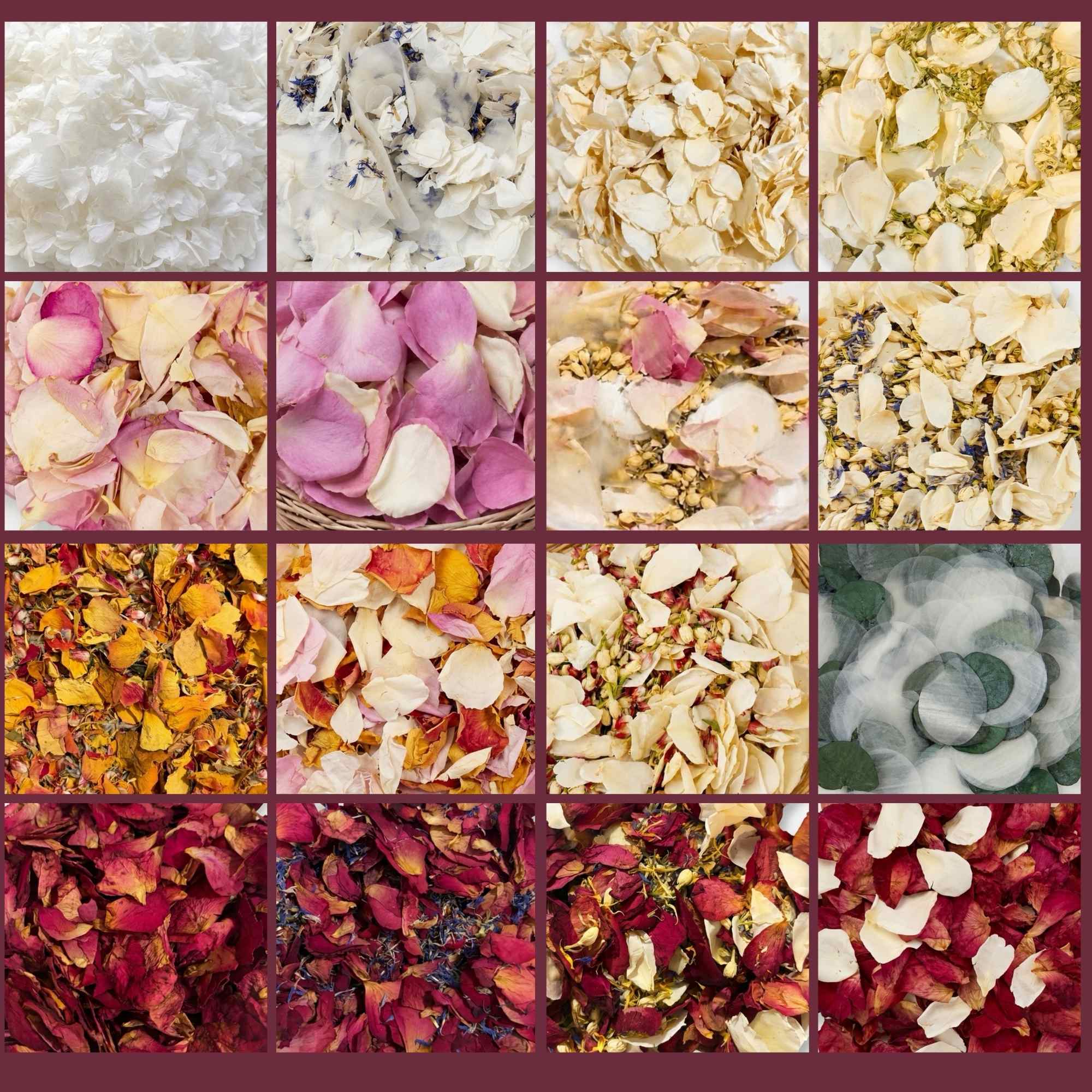Grid of various floral petal textures in different colors