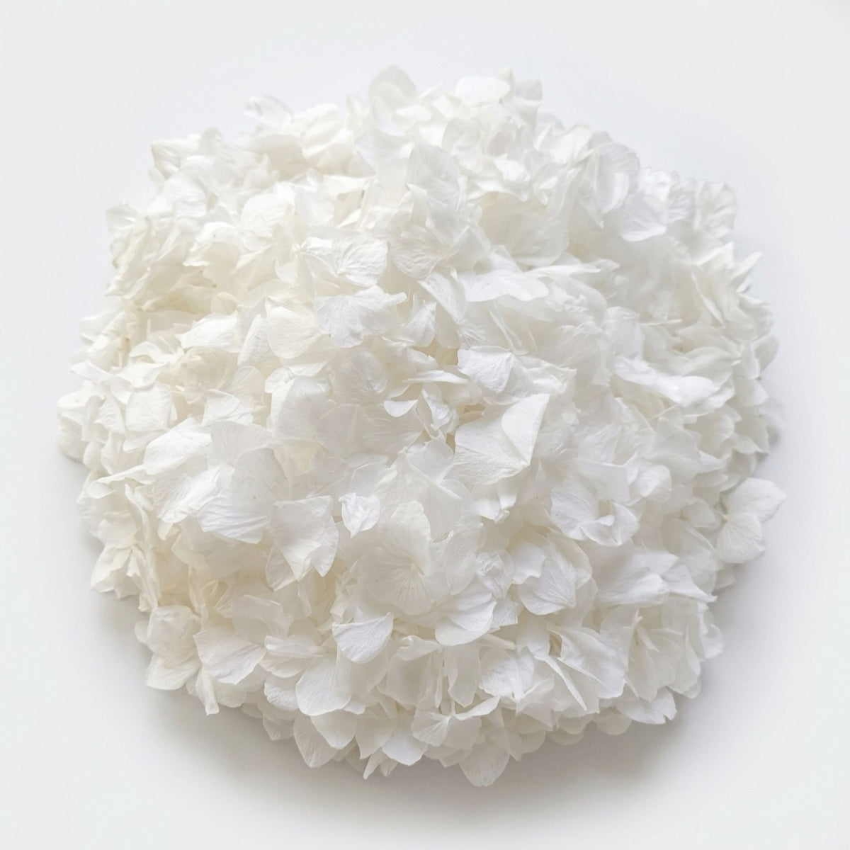 Close-up product image of luxury dried flower confetti in soft romantic tones